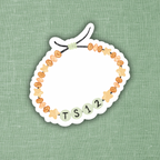 TS12 Sticker Set